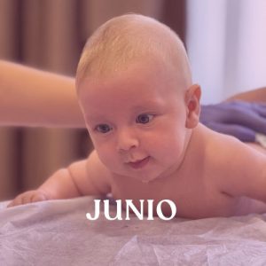 CURSO DE DISFUNCIONES DIGESTIVAS EN EL LACTANTE: CÓLICO, ESTREÑIMIENTO Y REFLUJO (JUNIO 2026)